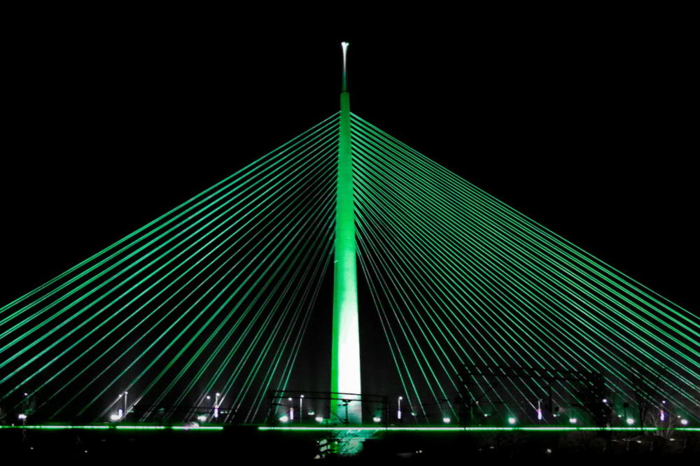 Zeleni Beograd oduševio Irsku! I BBC pisao o Srbiji! (FOTO)