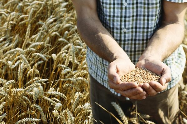 RUSIJA U ŠOKU! Turska im uvela drakonske carine!