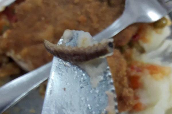 "Pojačana ishrana" za studente u Novom Sadu: Pronašli CRVA U BEČKOJ ŠNICLI! (FOTO)