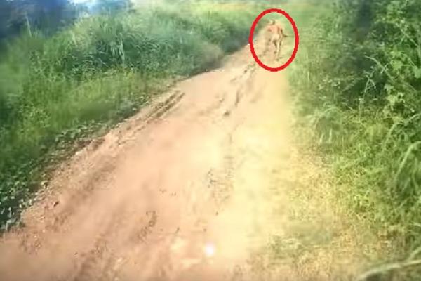 Čovek ili nešto drugo: Bajkeri su jurili misteriozno biće, ali im je pobegao! (VIDEO)