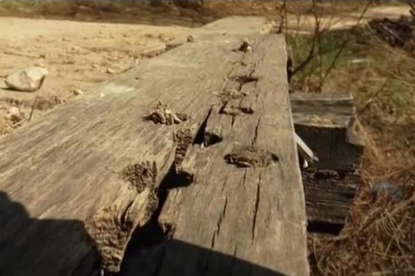 OVA ĆUPRIJA U SRBIJI LEČI IMPOTENCIJU: Drvena vijagra odoleva rekonstrukciji, a meštani neće da je RUŠE! (VIDEO)