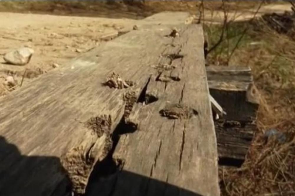 OVA ĆUPRIJA U SRBIJI LEČI IMPOTENCIJU: Drvena vijagra odoleva rekonstrukciji, a meštani neće da je RUŠE! (VIDEO)