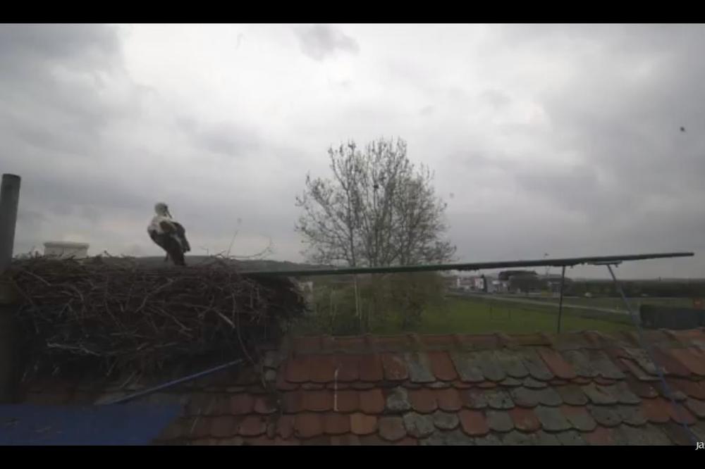 NAJLEPŠA LJUBAVNA PRIČA NA BALKANU: Malena je šest dana čekala ljubav svog života, svi su sumnjali na NAJGORE! (VIDEO)