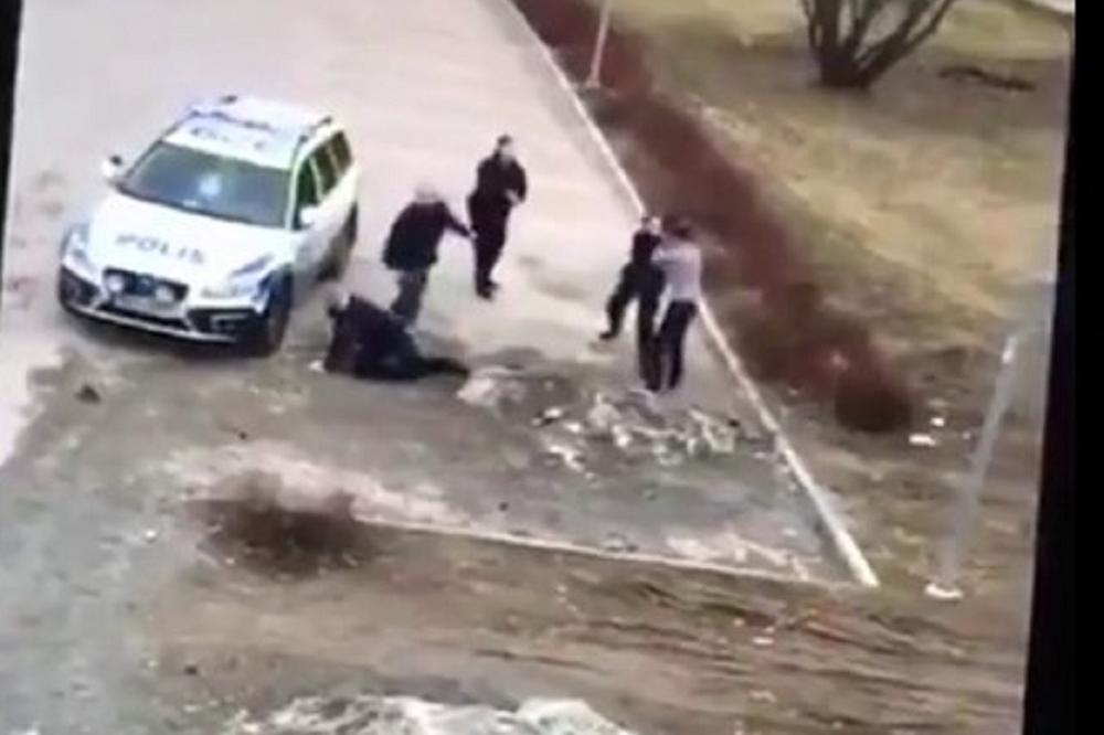 Pandure složio k'o metar drva, a auto im demolirao! Ako se do sada nadao azilu, posle ovoga može da pakuje kofere! (VIDEO)