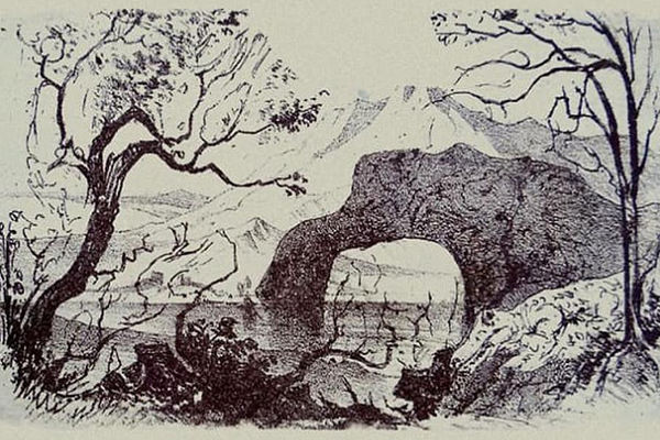 SKRIVALICA KOJA ĆE VAS SIGURNO ZBUNITI Pronađite 9 životinja za 10 sekundi! (FOTO)