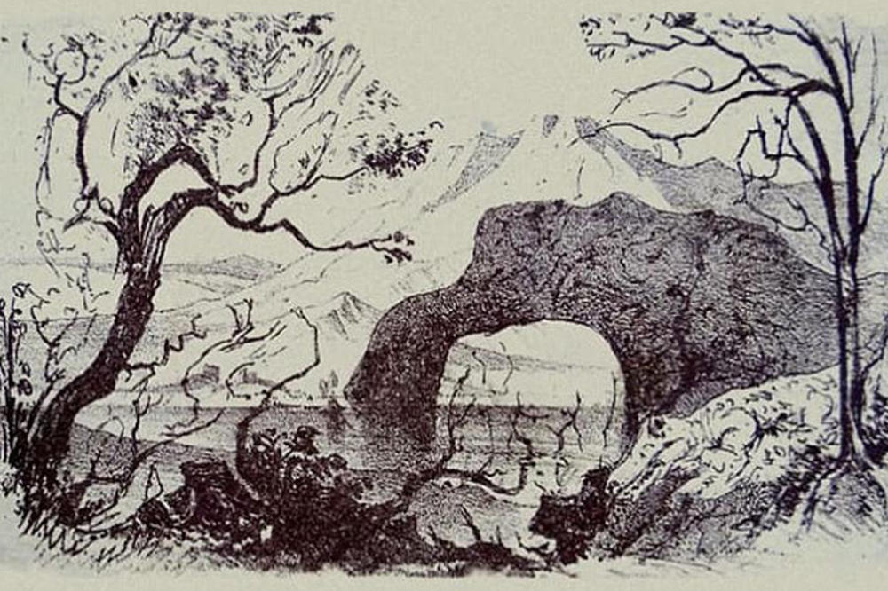 SKRIVALICA KOJA ĆE VAS SIGURNO ZBUNITI Pronađite 9 životinja za 10 sekundi! (FOTO)