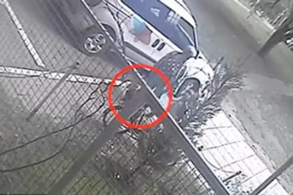 SRBIJO, DOTAKLA SI DNO! Baka iz NS-a je izvela unuka u šetnju, pa završila NA POTERNICI! (VIDEO)