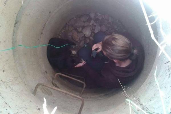 Psić je 15 dana bio zarobljen u šahtu! Vatrogasci su odbili da pomognu, niko nije pokušao da ga izvuče dok se nisu pojavili HEROJI! (FOTO)