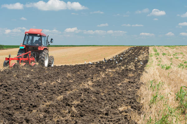 DEDA TRAKTOROM PREGAZIO UNUKA (2)! Horor u Žitorađi, PREŠAO MU JE PREKO LEĐA I NOGE