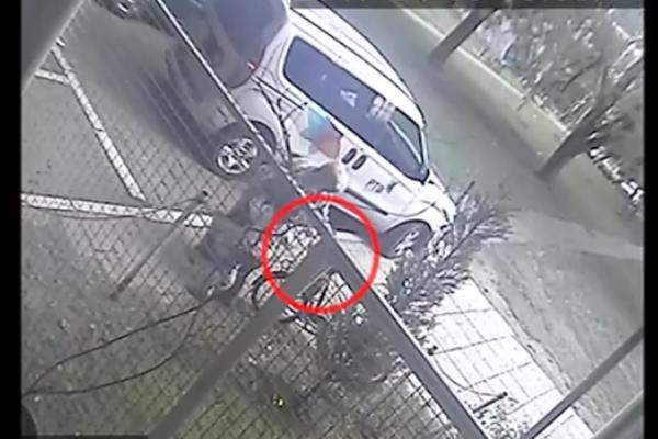 Sećate se bake iz Novog Sada koja je izvela unuku u šetnju pa krala? PRIČA JE DOBILA RASPLET!  (VIDEO)