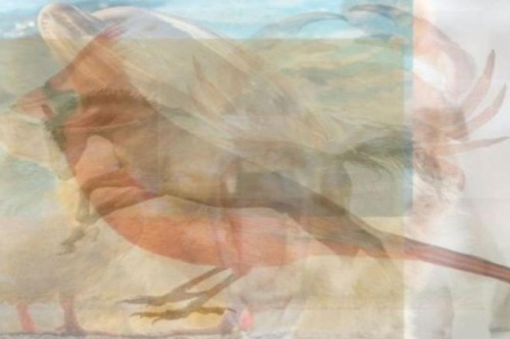 Ptica, konj, delfin, ili nešto drugo? Ono što PRVO ugledate na ovoj slici, otkriće vam KAKVA ste OSOBA! (FOTO)