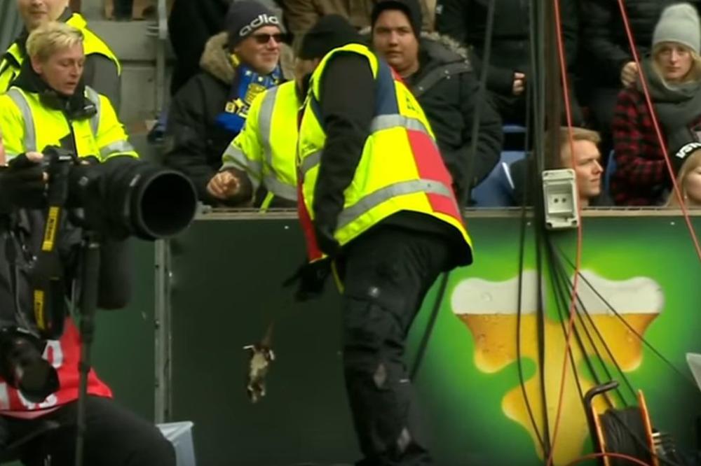 PREVAZIŠLO I SVINJSKU GLAVU: Ovo je najodvratnija stvar kojom su navijači gađali protivnike! (VIDEO)