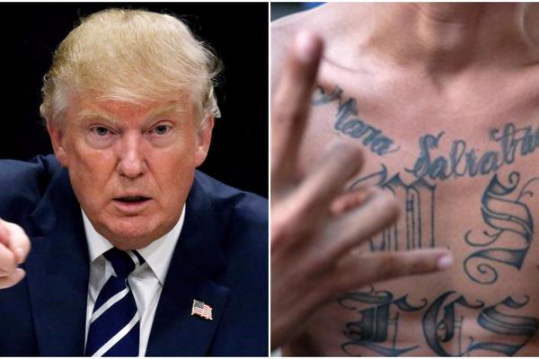 TRAMP OBJAVIO RAT LATINO MAFIJI! Mara Salvatruča na udaru predsednika SAD!