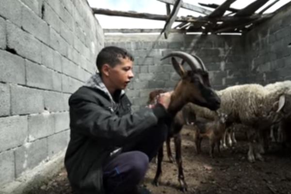 Kako danas živi dečak koji je umesto bicikla poželeo kozu? (VIDEO)