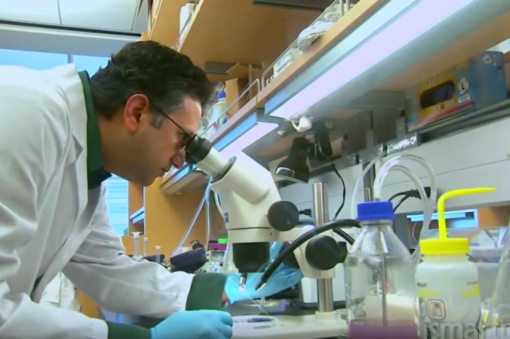 Saveti doktora Manera vam mogu SPASITI ŽIVOT! Ukoliko imate velikih problema sa zdravljem, unosite ovu namirnicu u ENORMNIM KOLIČINAMA!