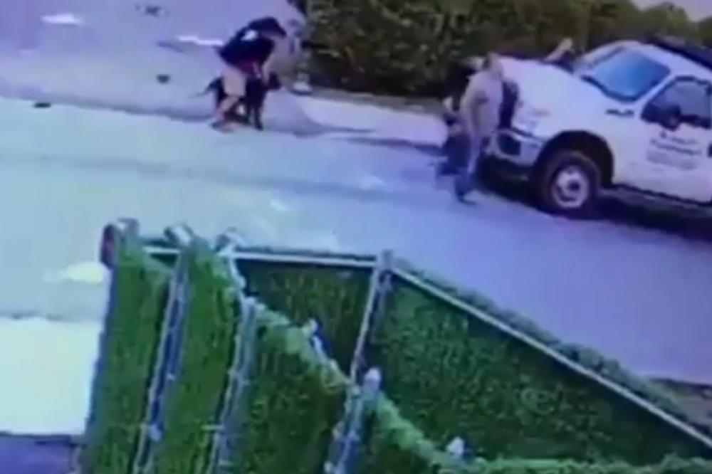 Horor: Pas brutalno napao dete, vukao ga po ulici! (FOTO) (VIDEO)