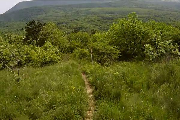 VAZDUH ČISTIJI NEGO NA ALPIMA: Ovo mesto nalazi se u SRBIJI i raj je za pluća!