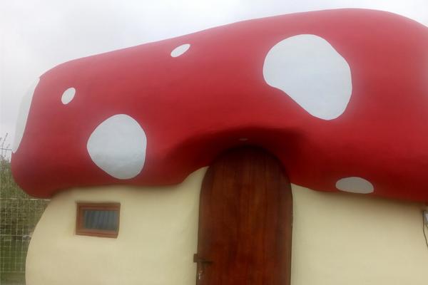 KAKAV HIT! Kućica na točkovima u obliku pečurke zapanjila Srbiju! Da li biste živeli ovde? (FOTO)