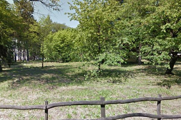 TUČA NA URANKU NA KOŠUTNJAKU! Pobile se dve grupe mladića, dvojica prebačena u Urgentni centar!