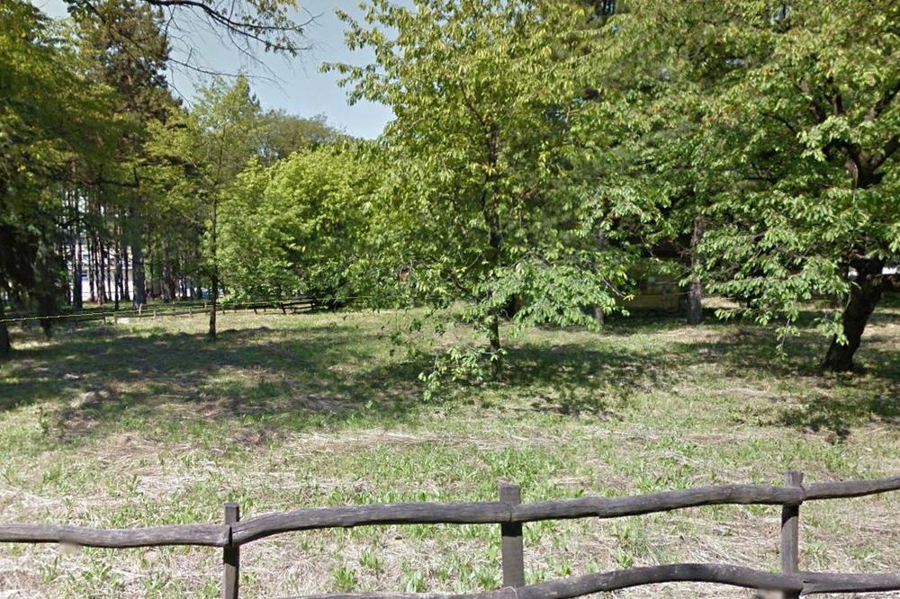 TUČA NA URANKU NA KOŠUTNJAKU! Pobile se dve grupe mladića, dvojica prebačena u Urgentni centar!