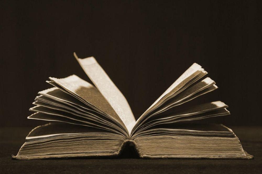 NEMA VIŠE PSIHOLOŠKINJA, SEKRETARKA, BORKINJA! SANU doneo odluku koja je razbesnela sve žene u Srbiji (FOTO)