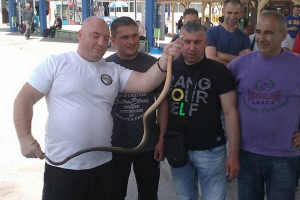 HOROR u autobusu za Niš! Mislila je da je JAKNA, ali se skamenila kada je videla! ZMIJA OD 2 METRA POPELA SE DEVOJCI NA NOGU! (FOTO)