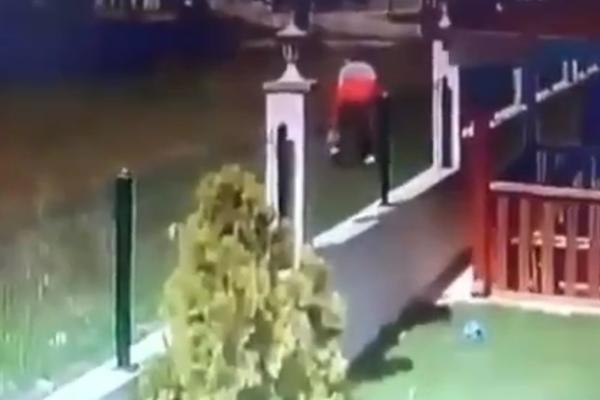 DEČAK PRESKOČIO OGRADU, NAPAO GA ČOPOR OGROMNIH DIVLJIH PASA: Horor snimak iz Turske! (UZNEMIRUJUĆI VIDEO)