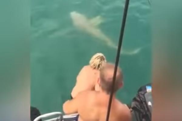 Koliko si glup od 0 do toga da pokušaš da uhvatiš ajkulu golim rukama i ostaneš bez dela noge? Imamo odgovor! (VIDEO)