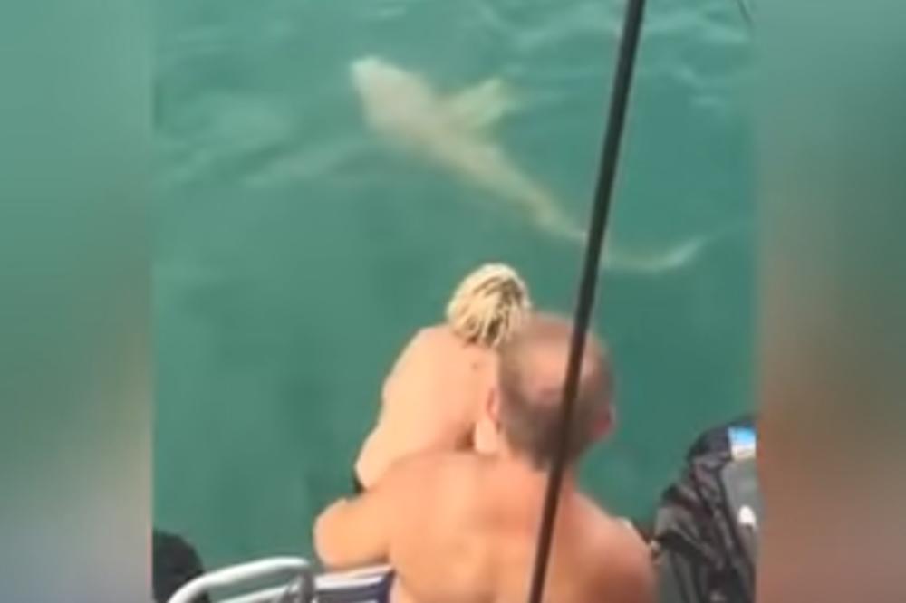 Koliko si glup od 0 do toga da pokušaš da uhvatiš ajkulu golim rukama i ostaneš bez dela noge? Imamo odgovor! (VIDEO)