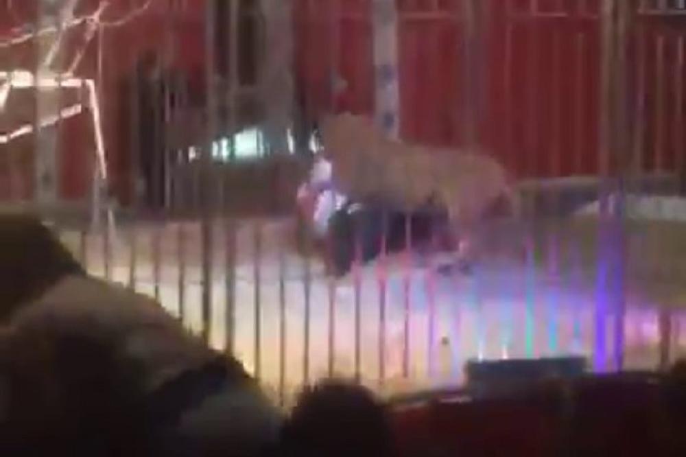 LAV ŠČEPAO DRESERA ZA GLAVU usred cirkuske predstave! JEZIVA SCENA PRED GOMILOM DECE! (VIDEO)