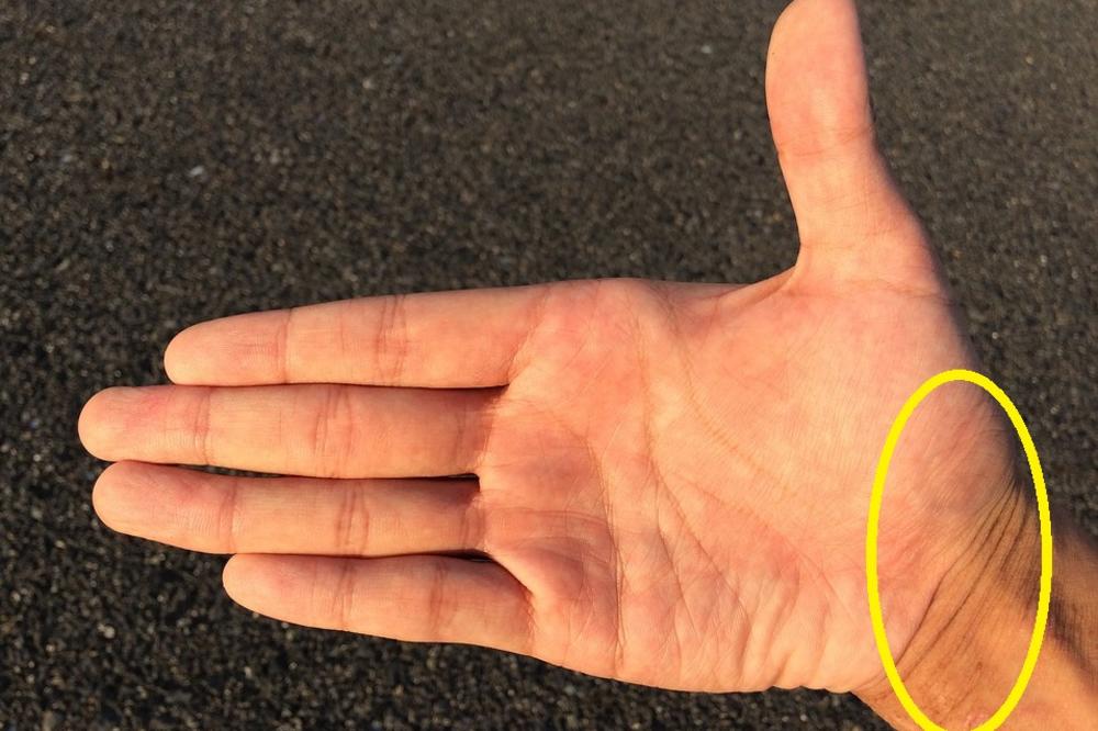 Šta linije na zglobu otkrivaju o vašoj budućnosti? (FOTO)