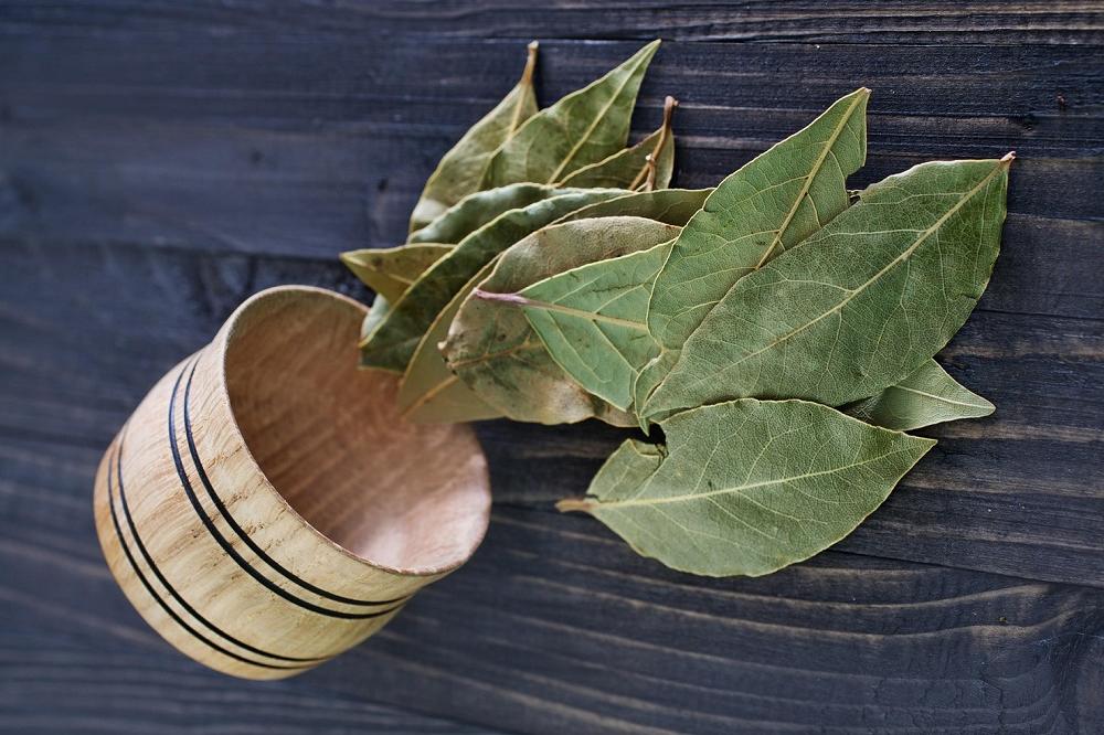 Lovor je najmoćnija biljka na svetu, zato je ne koristite samo za kuvanje (FOTO) (GIF)