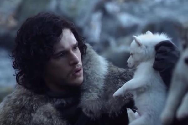 JOVAN SNIJEŽNI, CICA LANISIĆ, TODOR: Urnebesan prevod likova iz Igre prestola će vas slatko nasmejati (FOTO)