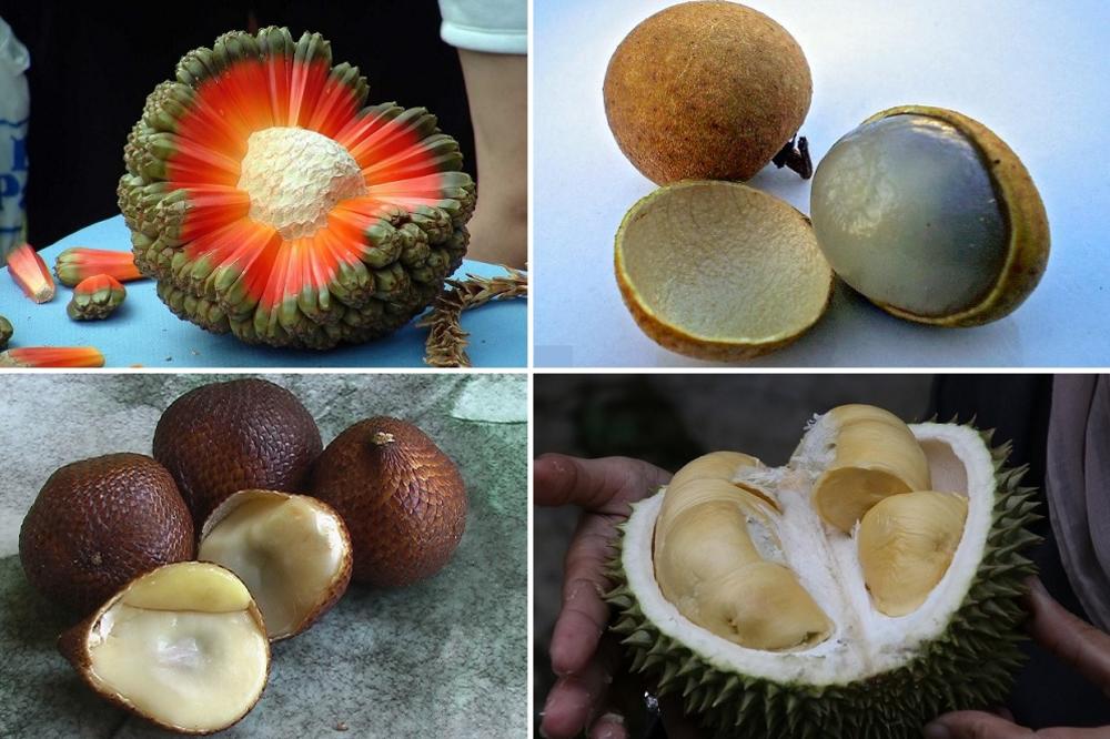 20 egzotičnih voćki, za koje sigurno nikad niste čuli (FOTO) (GIF)
