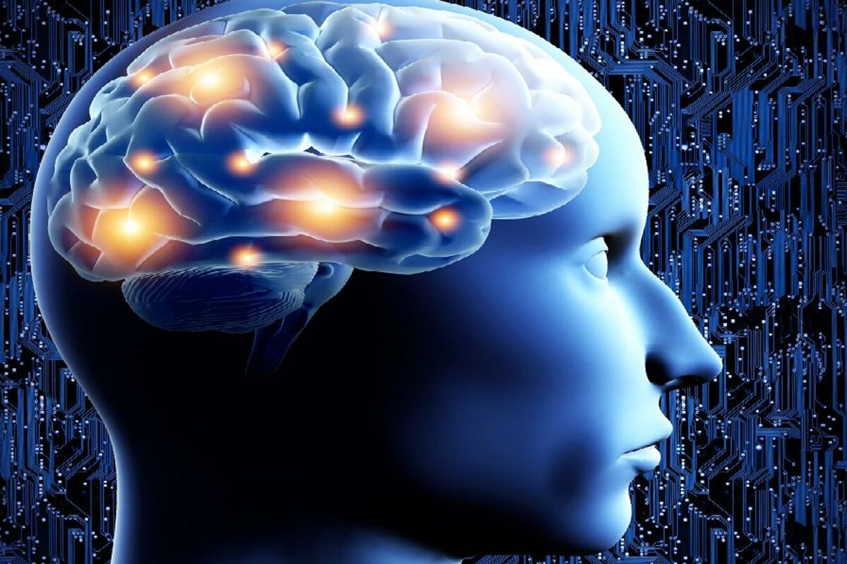 Скорость импульса мозга. Нейрофизиология мозга. Нейрофизиология человека. Нейрофизиологические факторы. Нейрофизиология памяти.