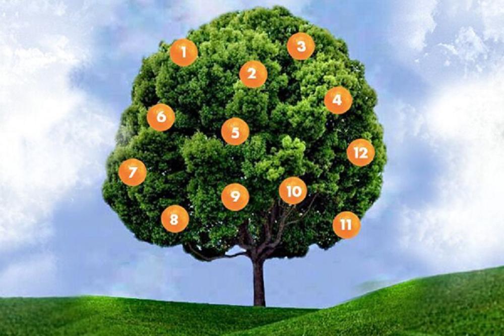 Zamislite želju, izaberite voćku i saznajte da li će se ispuniti! (FOTO)