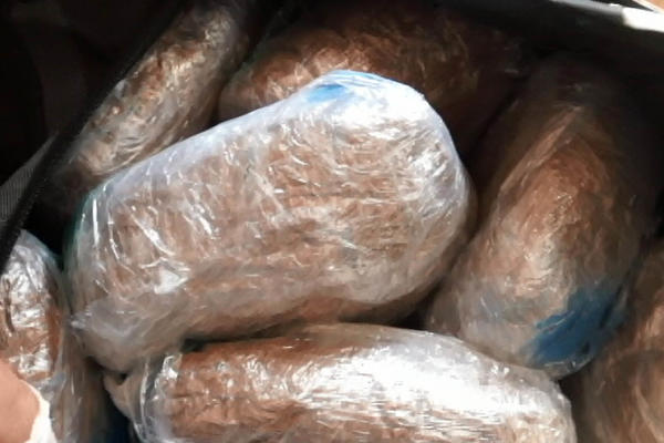 SEDMORO UHAPŠENO, ZAPLENJENO 10 KILOGRAMA MARIHUANE! Velika akcija srpske policije!