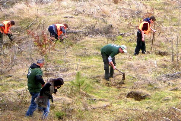 SRBIJI PRETI OGROMNA KATASTROFA, DRŽAVA NIŠTA NE PREDUZIMA: Vapaj stručnjaka - 40 odsto zemljišta je ugroženo!