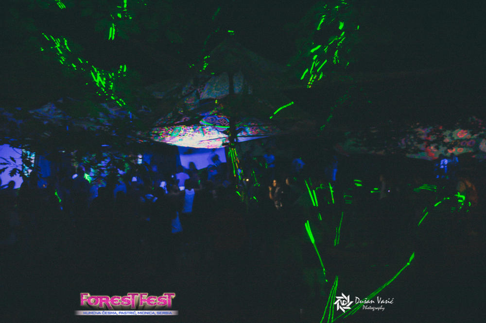 Evo kako je bilo na FOREST FESTu ove godine!
