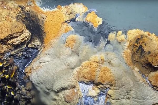 Ko zaroni, ne vraća se: Pronađeno jezero ispod mora! (VIDEO)