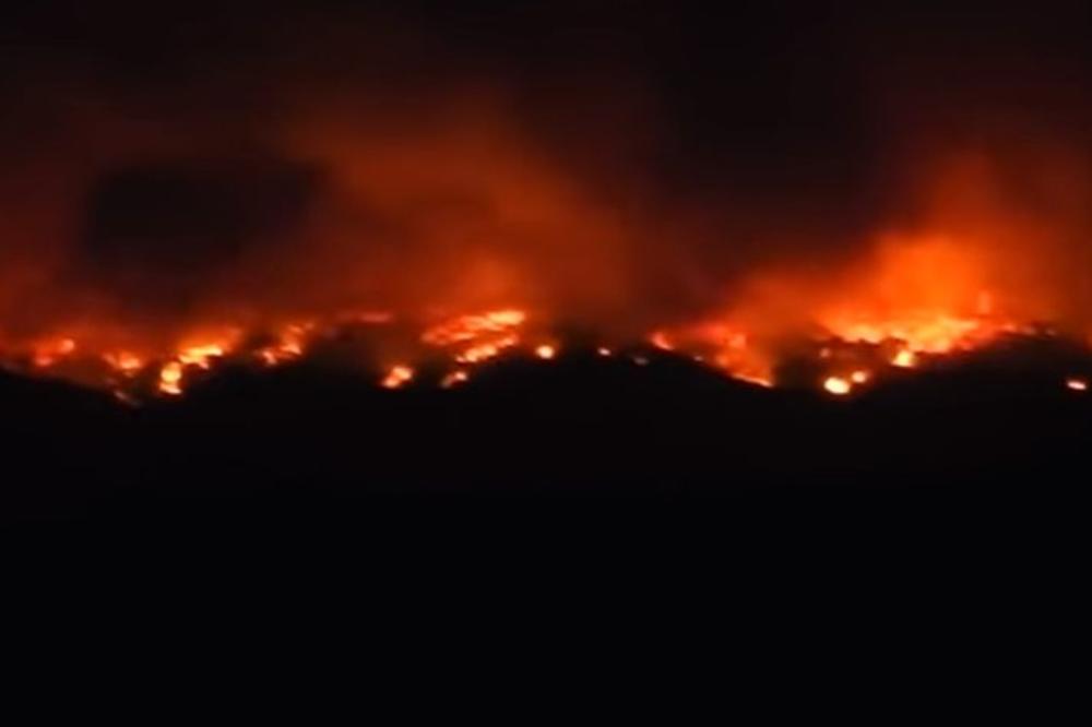MOŽE NAM POMOĆI SAMO KIŠA: Veliki požar u Crnoj Gori, vatru gase i avioni!