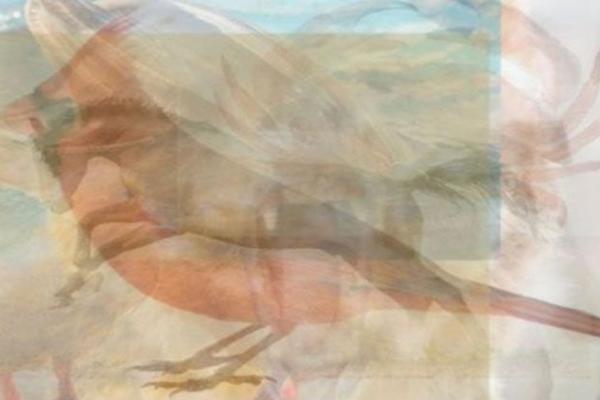 Koju životinju prvu vidite na slici? Ona vam otkriva koliko ste srećni (FOTO)