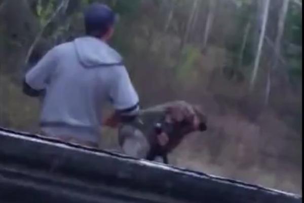 MEDVED MU JE UKRAO RANAC, a onda je ovaj čovek potpuno izgubio razum! (VIDEO)