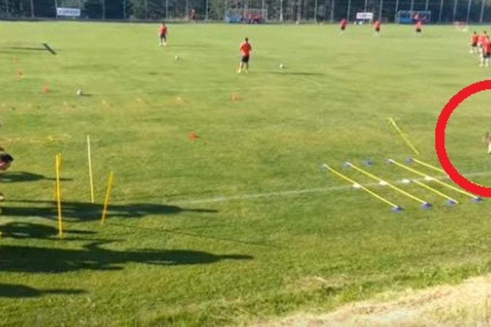 HIT HIT HIT! Čunj je voćka čudnovata! Fudbaler Crvene zvezde umalo da se povredi prilikom najprostije vežbe! (VIDEO)