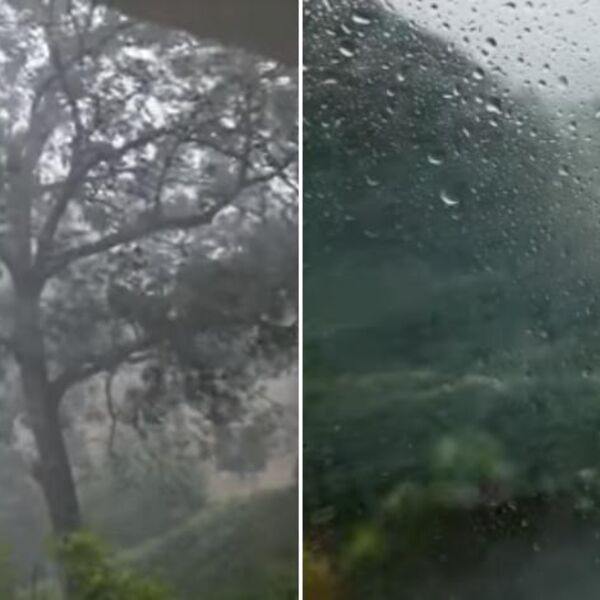 STRAVIČNO NEVREME JE SVE BLIŽE SRBIJI: U Sloveniji vetar čupao drveće i lomio krovove, putevi blokirani! (VIDEO)