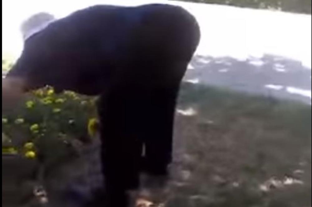 ČUPA CVEĆE IZ PARKA, KAO DA GA JE ONA SADILA: Posle ovog snimka biće svima jasno zašto živimo tako kako živimo (VIDEO)