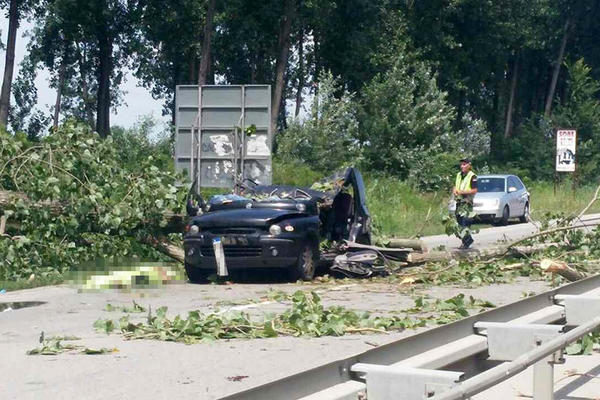 STRAVIČNO NEVREME U NOVOM SADU! Drvo palo na automobil, POGINULA ŽENA! (FOTO)