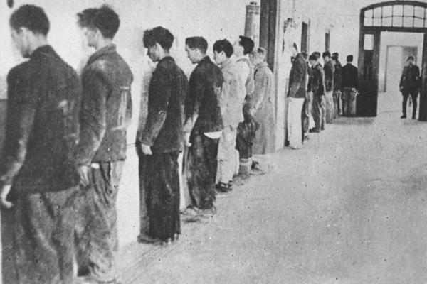 DRAGI RODITELJI, POSLEDNJI DAN U ŽIVOTU MI JE LEP. RODILA SAM BEBU: Poruke iz Nedićevog LOGORA SMRTI, a mi bismo sad da ga rehabilitujemo!