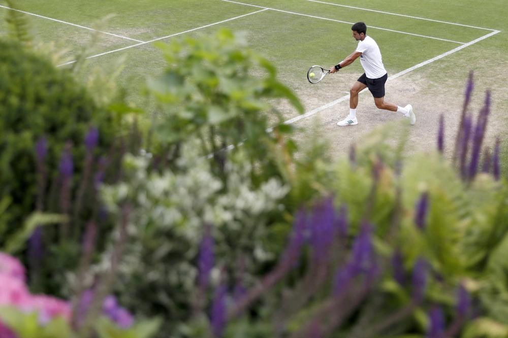 Đoković sparingovao sa Gaskeom, ali su dame više gledale u Agasija nego njih dvojicu! (FOTO)
