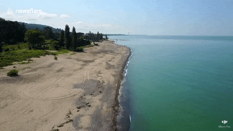 Galebe, pazi dron! Neverovatnom akrobacijom ptica izbegla sudar sa letelicom! (VIDEO)